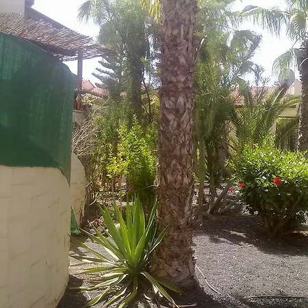 Hébergement de vacances Casa Carolina Parque Holandes