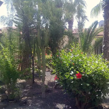 Hébergement de vacances Casa Carolina